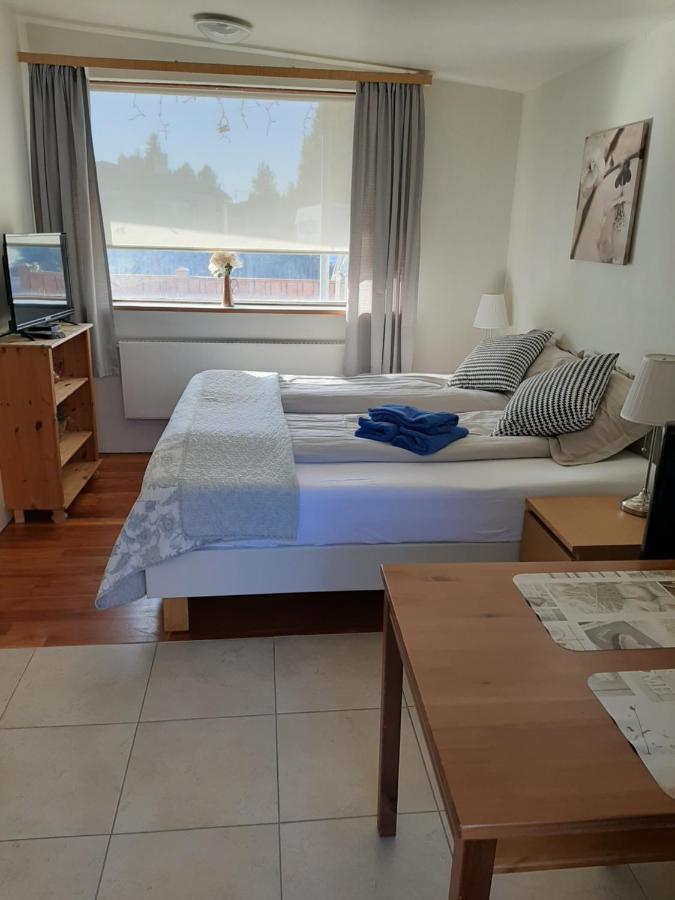 Bsg Apartments Selfoss Esterno foto